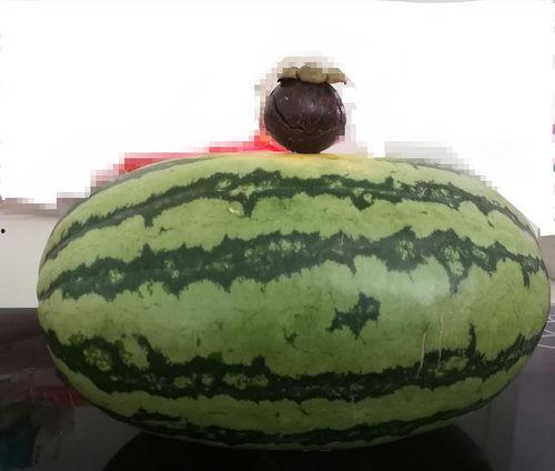 吃瓜特效多少个,揭秘多少个吃瓜特效，解锁娱乐新境界