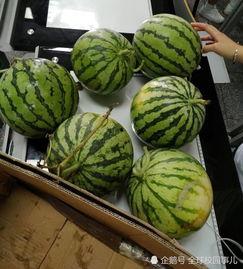 班级群吃瓜,一场校园风云录