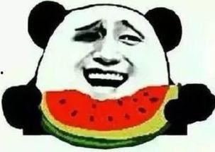 你敢吃瓜吗,你敢吃瓜吗？
