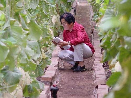 吃瓜成都角色扮演,揭秘这座美食之都的趣味生活