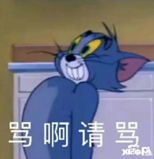 吃瓜不睡觉了,网络热词背后的故事与影响