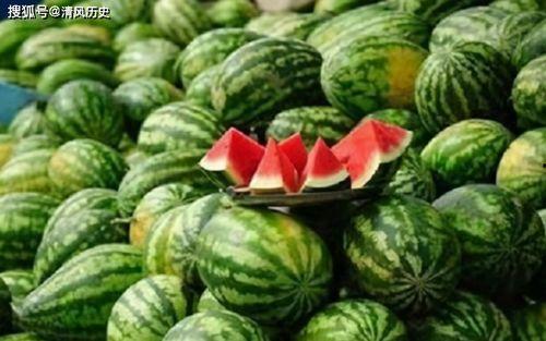 吃瓜免费观看全集,揭秘吃瓜全集精彩瞬间