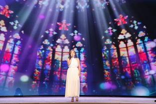 公益明星盛典,明星盛典共筑爱心篇章